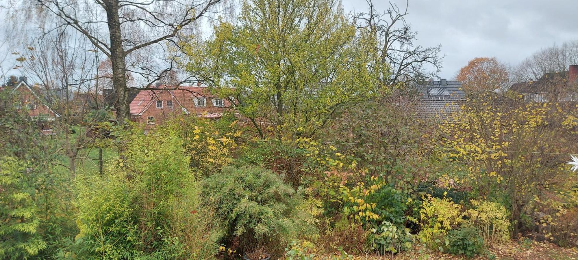 Ferienwohnung Bad Segeberg Eksteriør billede